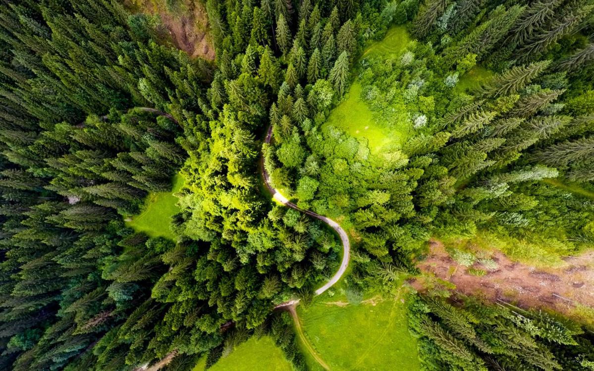 Resort Biela Skala - Chata Chopok Jasna Juh Bystrá Exterior foto